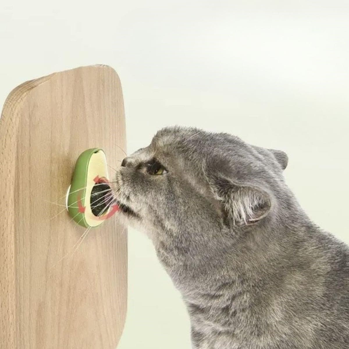 Roichil® Avokado Model Yapışkanlı Kedi Oyuncağı Yenilebilir Kedi Nanesi Otu — küçük görsel 3
