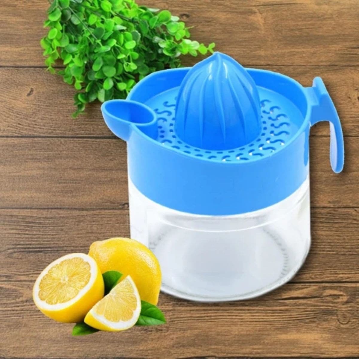 Roichil® 300ml Cam Hazneli Pratik Limon Narenciye Sıkacağı KC-405
