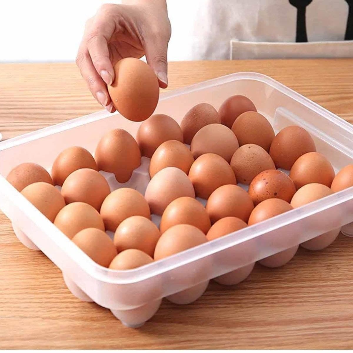 Roichil® 30lu Yumurta Saklama Kabı