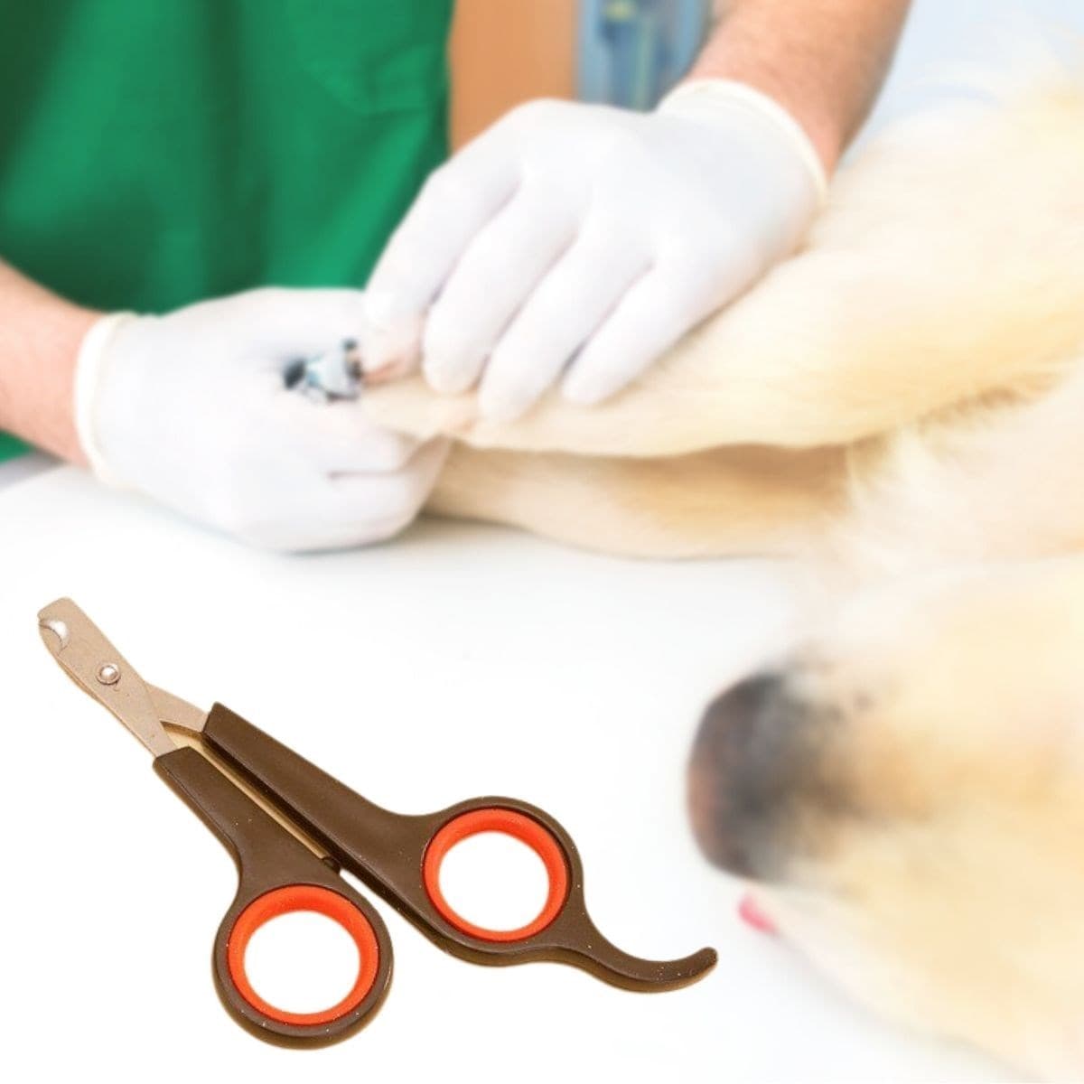 Roichil Küçük Çelik Uçlu Kedi Köpek Evcil Hayvan Tırnak Makası Pati Bakım Aleti Ergonomik Kaymaz Sap