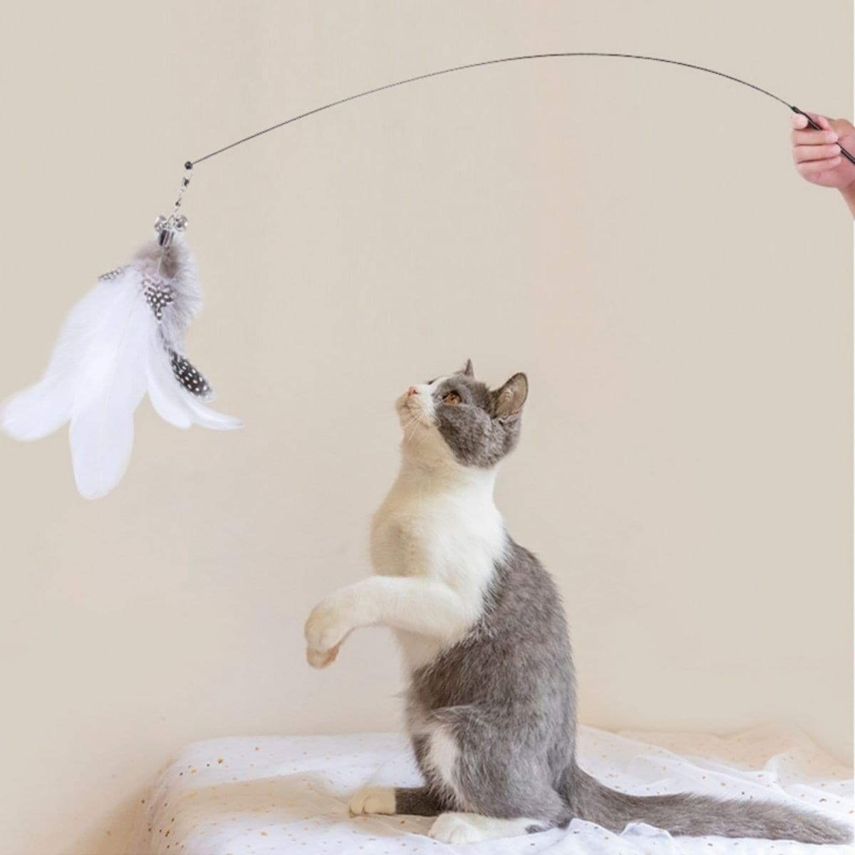 Roichil® Vantuzlu Tüylü Zilli Olta Kedi Oyuncağı 2 Oltalı — küçük görsel 6
