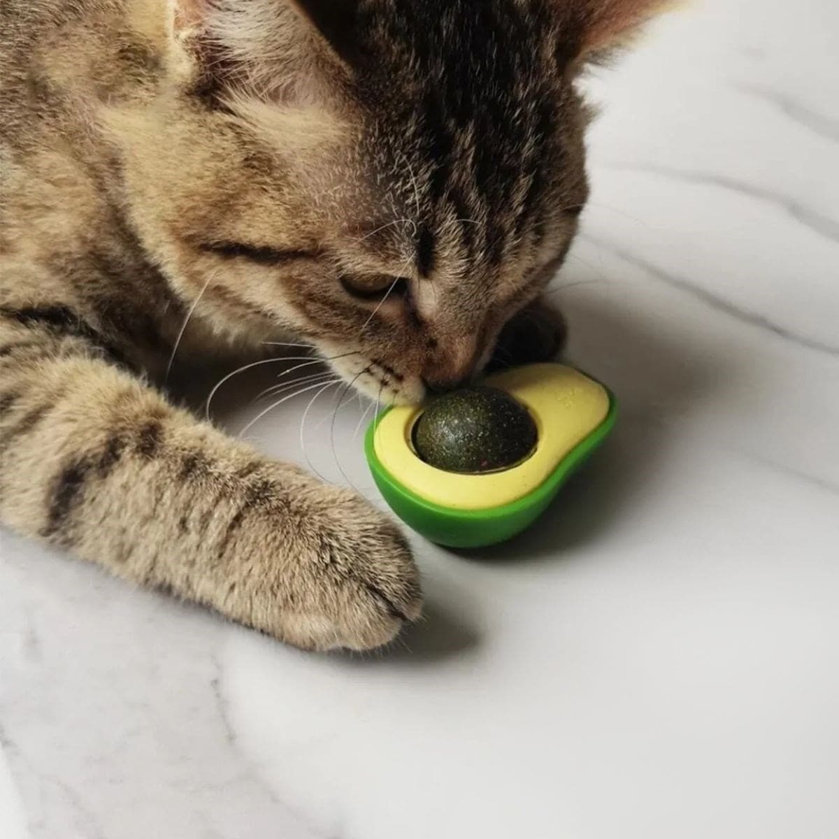 Roichil® Avokado Model Yapışkanlı Kedi Oyuncağı Yenilebilir Kedi Nanesi Otu — küçük görsel 2
