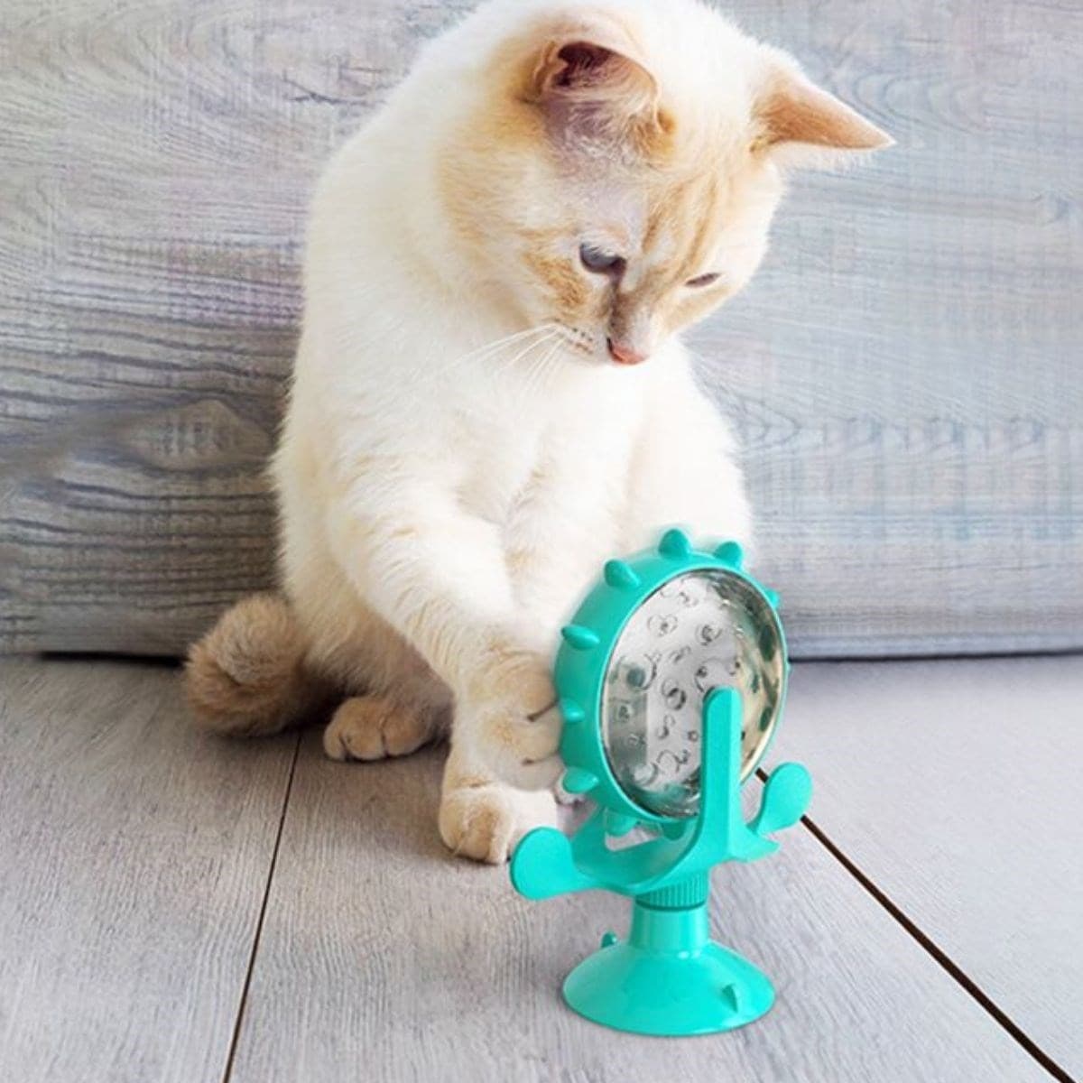 Roichil® Vantuzlu Zilli İnteraktif Dönebilen Mama Kaplı Renkli Eğlenceli Eğitici Kedi Oyuncağı
