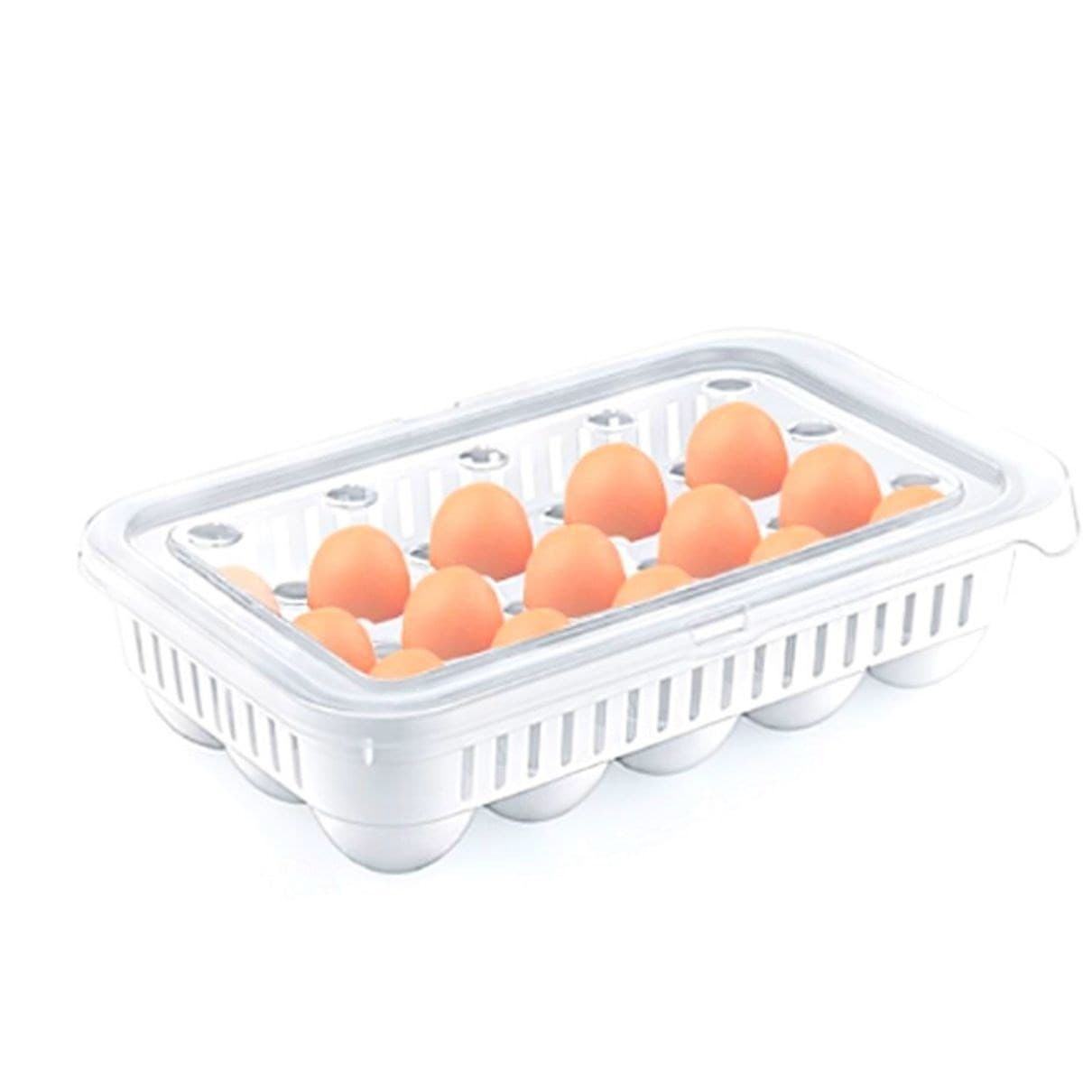 Roichil® 15liYumurta Saklama Kabı