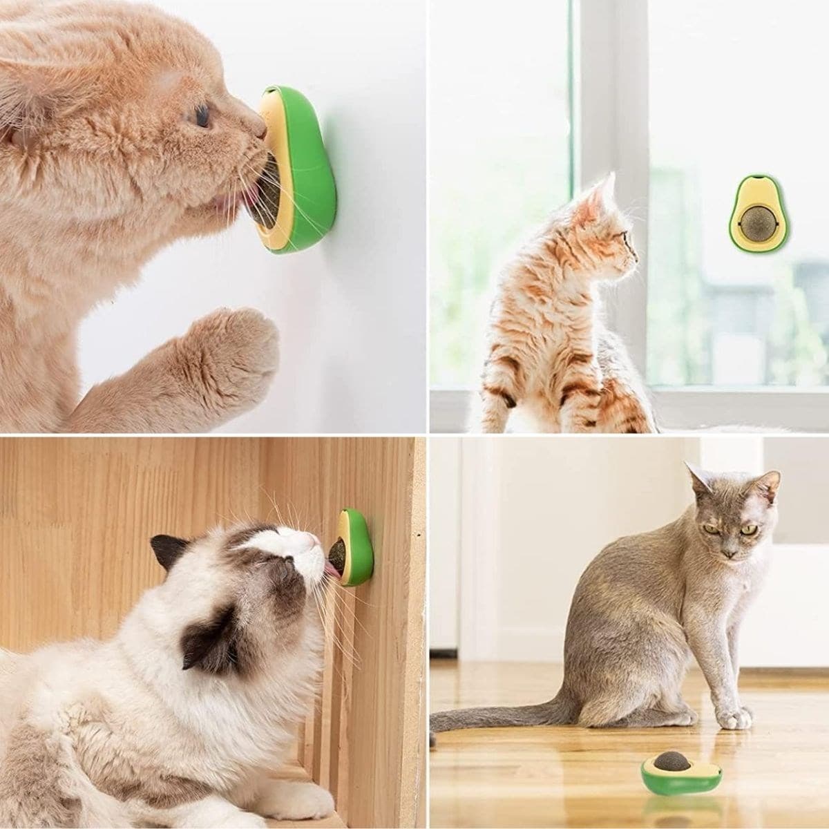 Roichil® Avokado Model Yapışkanlı Kedi Oyuncağı Yenilebilir Kedi Nanesi Otu — küçük görsel 4