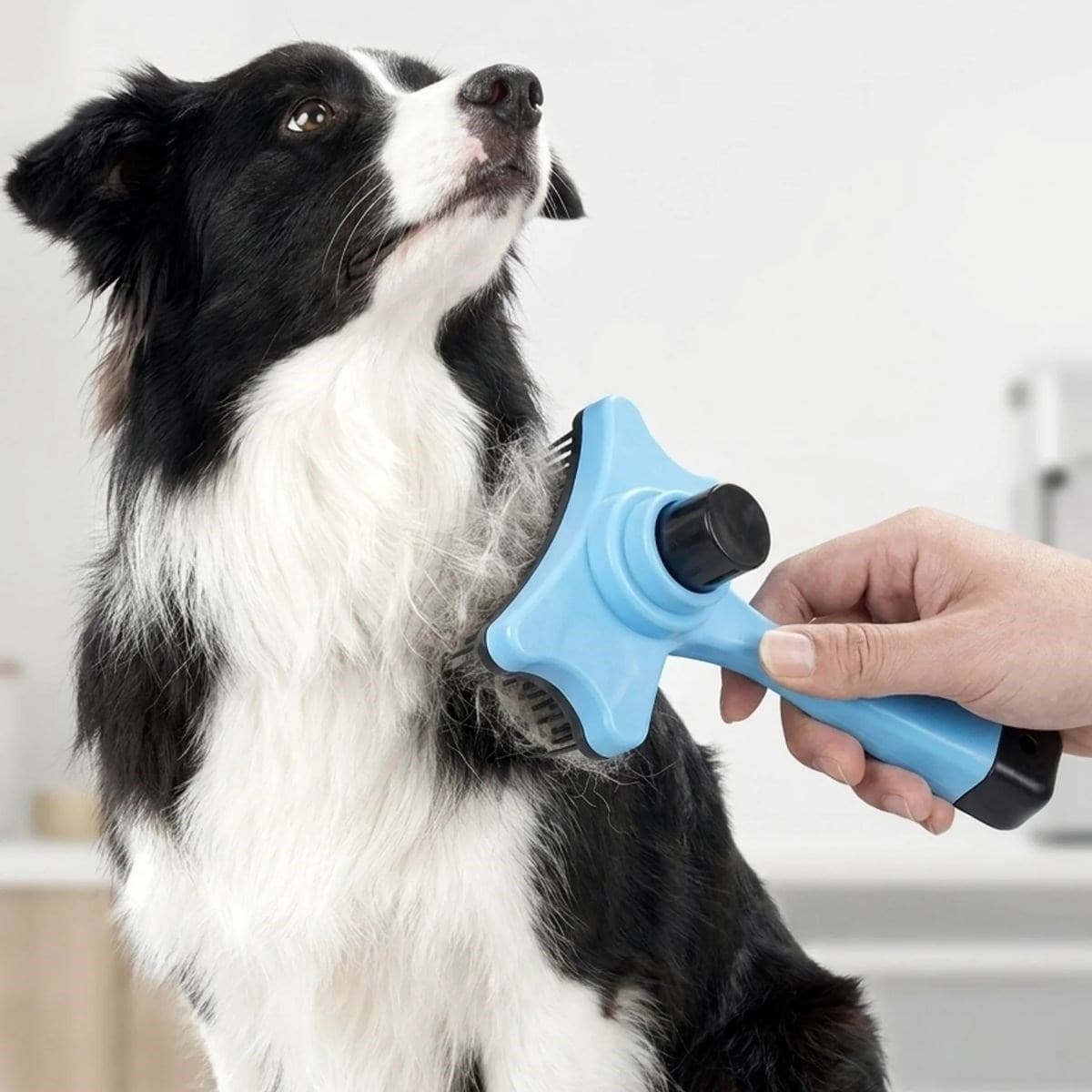 Roichil® Evcil Hayvan Kedi Köpek Tüy Toplayıcı Otomatik Tuşlu Pet Tarak