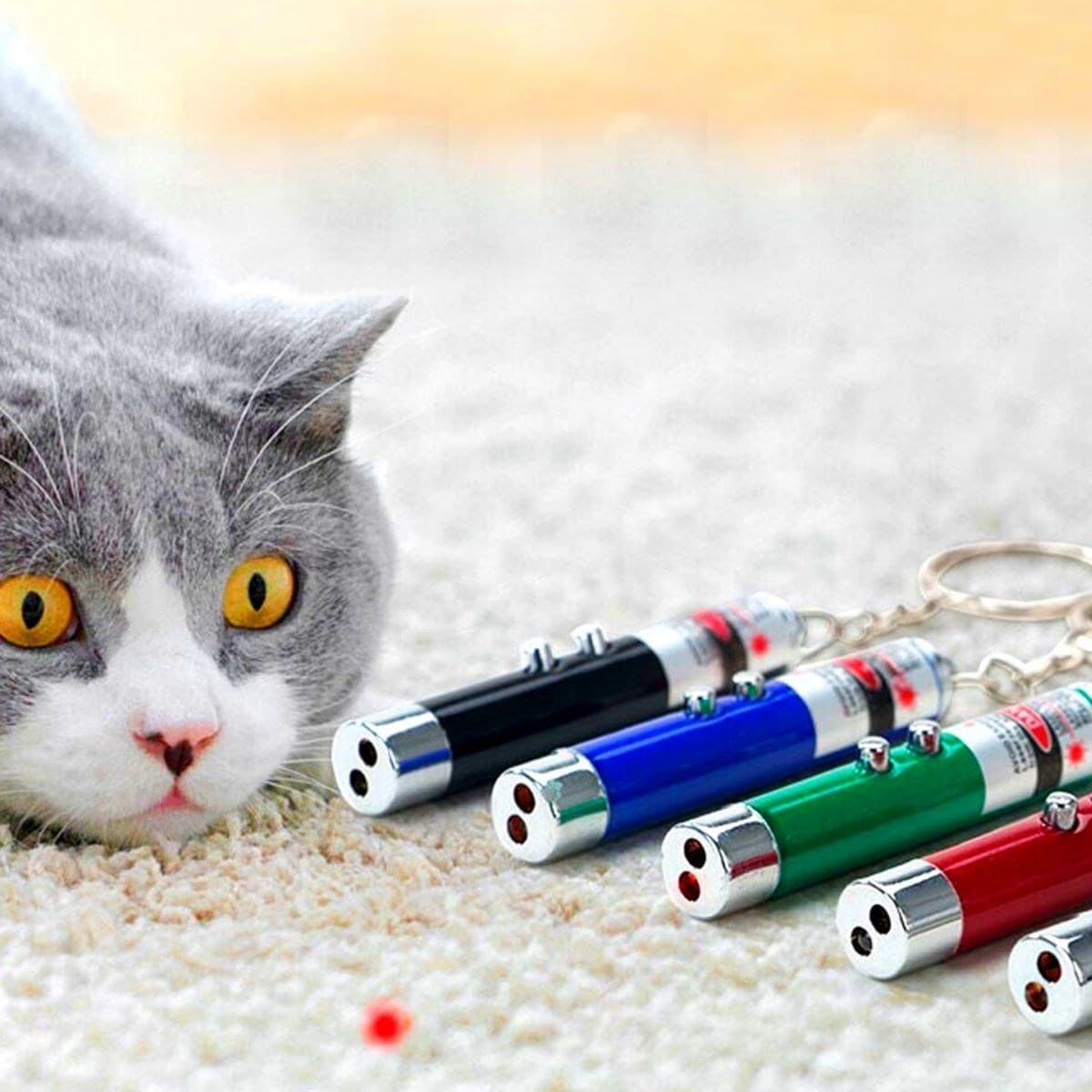 Roichil® 3 Fonksiyonlu Kırmızı Beyaz Işıklı Led Lazer Kedi Köpek Oyuncak Anahtarlık