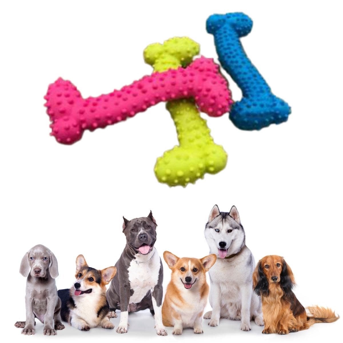 Roichil® Tiny Kemik Oyuncağı Tırtıklı Yüzey Küçük Kemik Plastik Köpek Oyuncağı