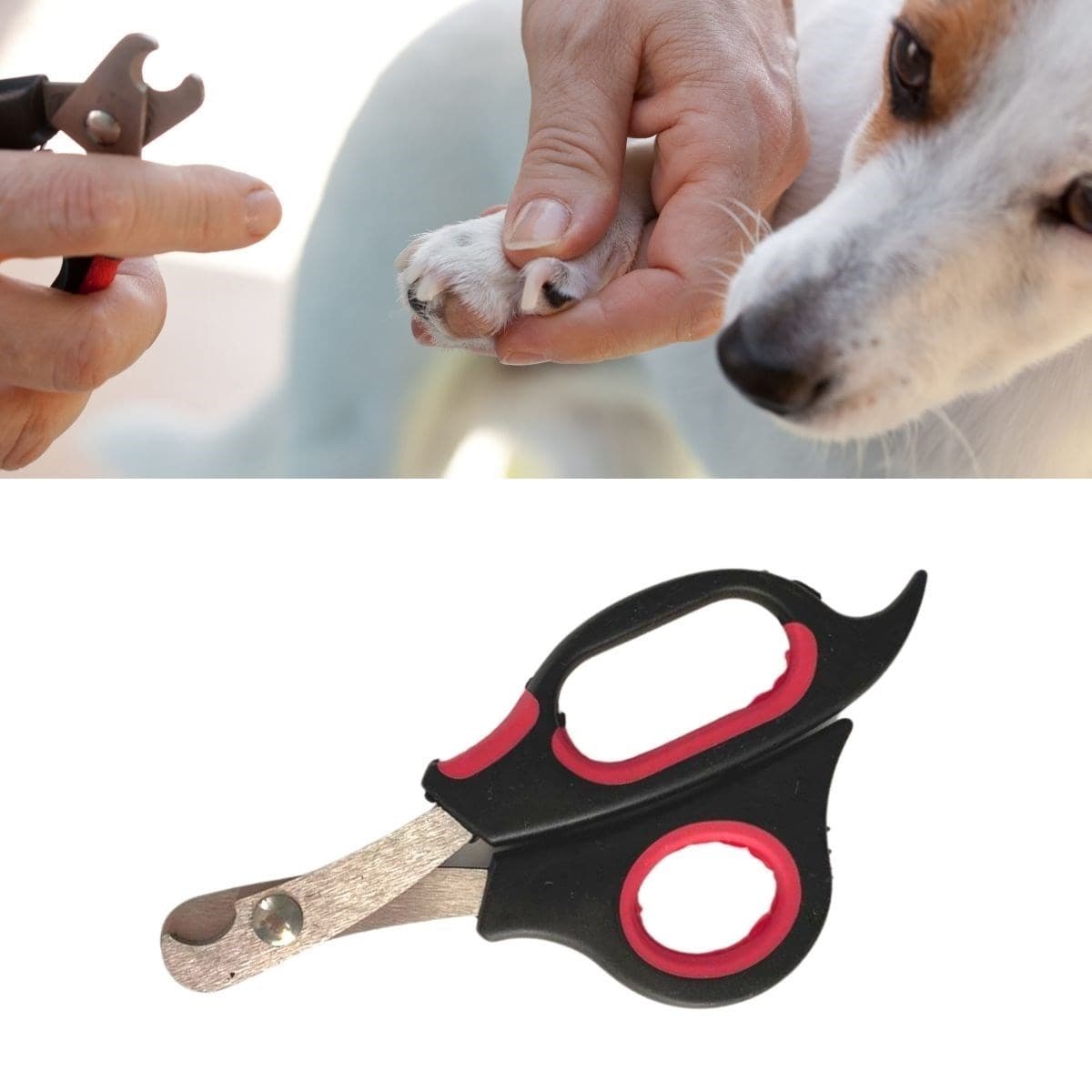 RoichilBüyük Irk Köpek Kedi Çelik Uçlu Evcil Hayvan Tırnak Makası Pati Bakım Aleti Ergonomik Kaymaz