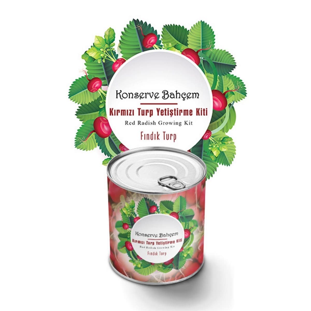 Roichil® Konserve Bahçem Evde Konservede Fındık Turp Yetiştirme Kiti