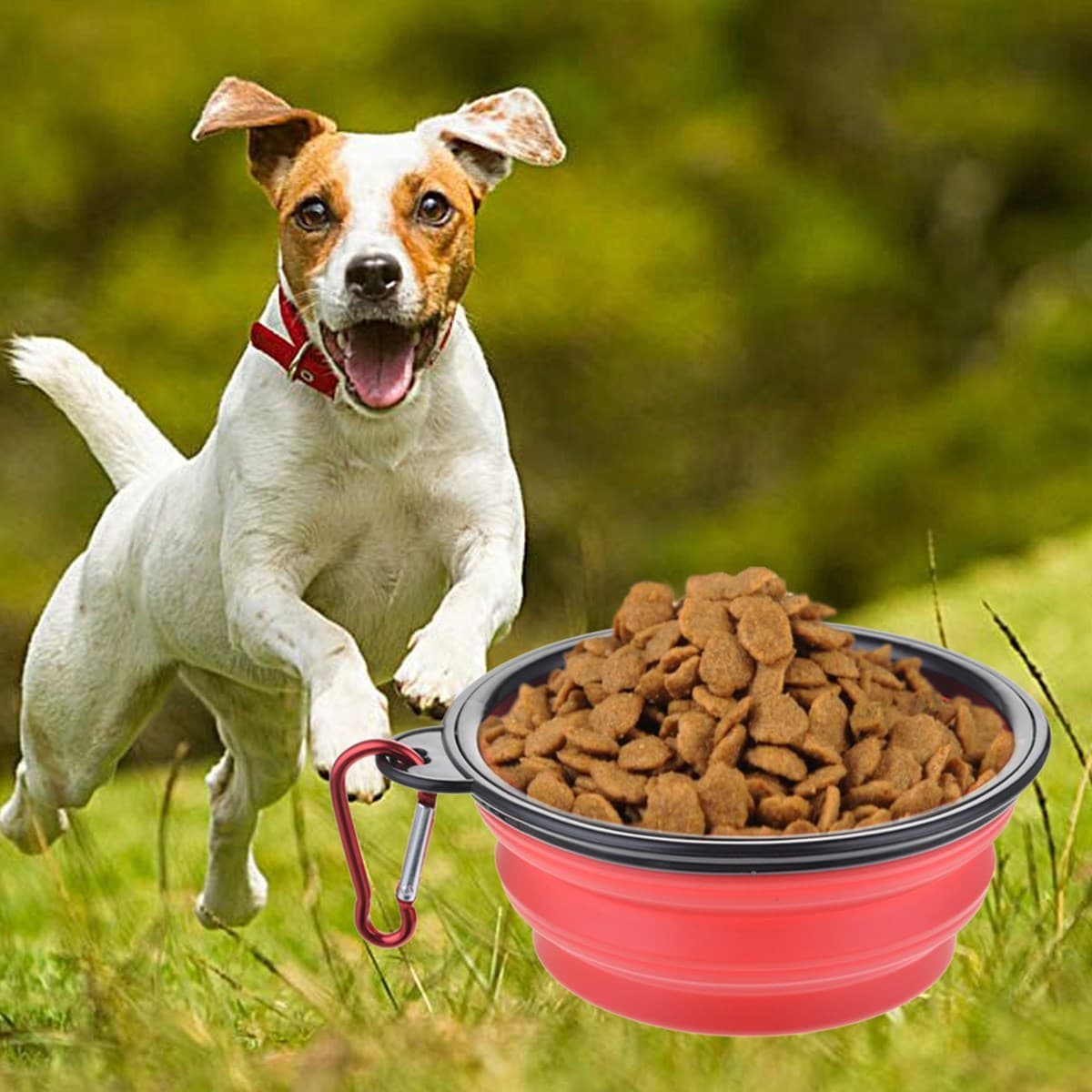 Roichil® Katlanabilir Kedi Köpek Mama ve Su Kabı Köpek Oyuncağı