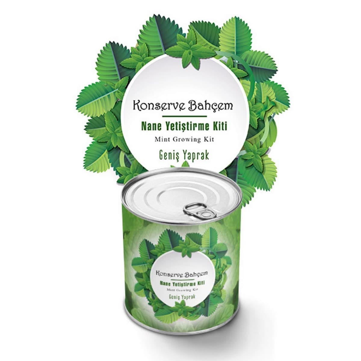 Roichil® Konserve Bahçem Nane Yetiştirme Kiti