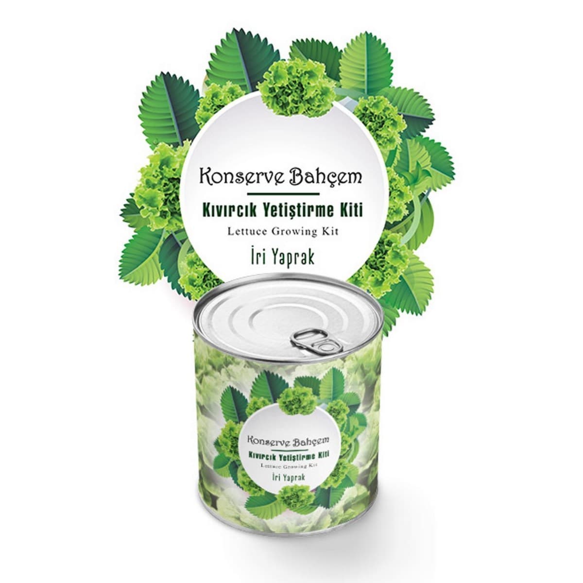 Roichil® Konserve Bahçem Evde Konservede İri Yapraklı Kıvırcık Yetiştirme Kiti