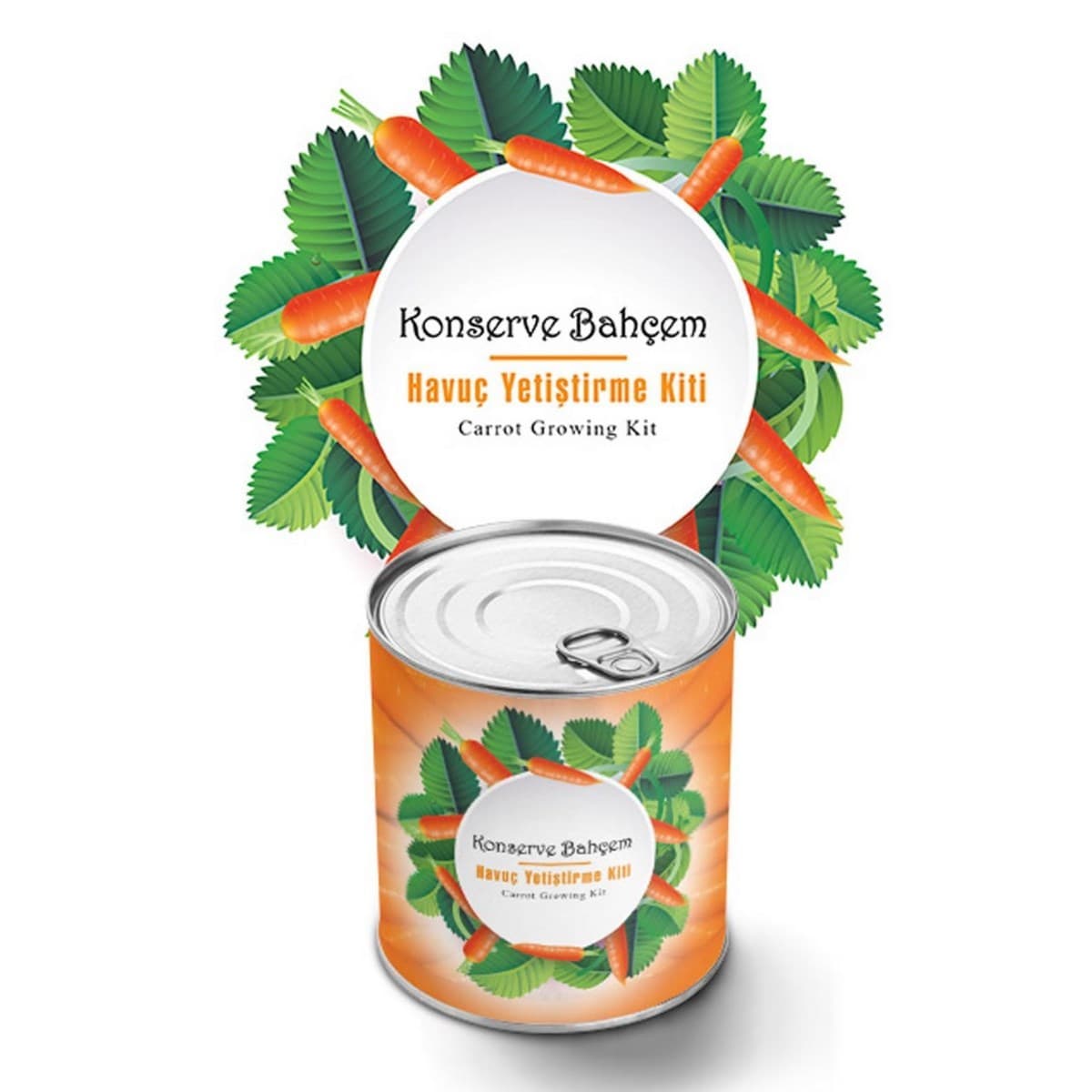 Roichil® Konserve Bahçem Evde Konservede Havuç Yetiştirme Büyütme Kiti