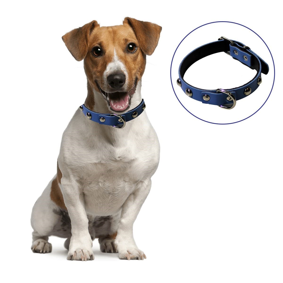 Roichil® Yumuşak Dokulu Deri Köpek Gezdirme Boyun Tasması (Large)